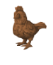 Wooden chicken